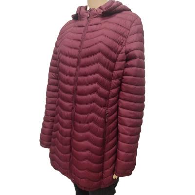 China 2021 New Style Anti-wrinkle Stripper Coat Women Outdoor Warm Fashionable Winter Padded Jacket Stock for sale