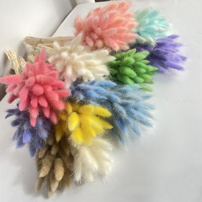 China Home Decoration Dog Tail Colorful Grass Dried Flower Decorative Natural Dry Flower Bouquet for sale