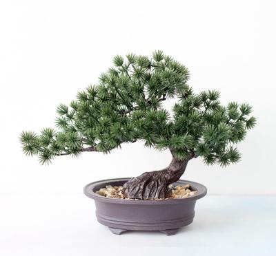 China Indoor Decorative Artificial Greeting Pine Potted Decorative Simulation for sale