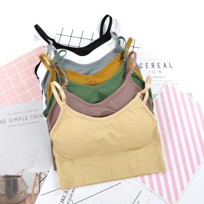 China Dropshipping New Breathable Simple Soft Comfortable Soft Bottom Vest Wrap Bra Women Seamless Tube Tops for sale