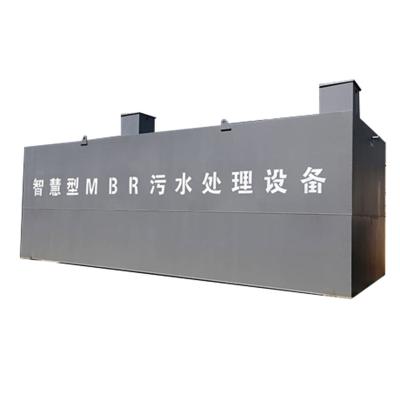 China Short construction period and simple installation MBBR integrated intelligent sewage chicken slaughterhouse sewage treatment equipment for sale