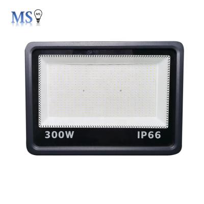 China High Power High Quality Flood Light 100W Theme Park Outdoor LED Flood Lighting for sale