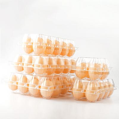 China 4 6 8 10 12 15 20 24 30 Hole Disposable Chicken Egg Wrappers Tray Suppliers Transparent Pet Plastic Blister Trays For Eggs for sale