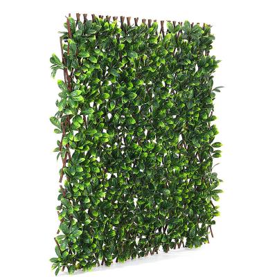 China Eco-friendly Artificial Garden Hedge Leaf Expanding Willow Screening Trellis Privacy Screen for sale