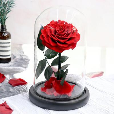 China Real high tech pink durable eternal roses in glass dome for wedding decoration for sale