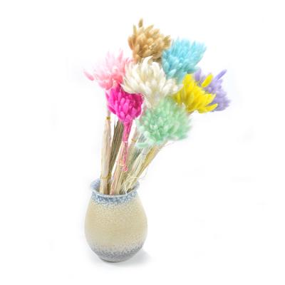 China Natural Wholesale Rabbit Tails Dried Flower Bouquet For Home Wedding Decoration for sale