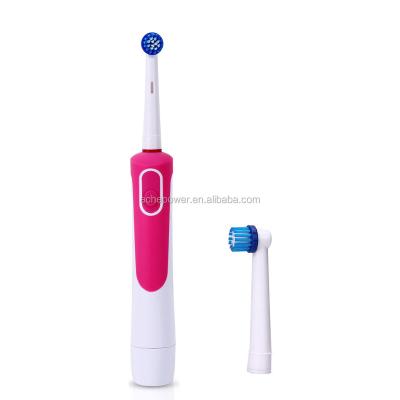 China China Manufacturer Oral Cleaning Electric Battery Operated Toothbrush Compatible for sale