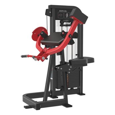 China NEW COMMERCIAL PIN GYM High Quality Commercial Use Biceps Curl Machine Gym Pin Loaded Fitness Strength Training Gym Equipment for sale