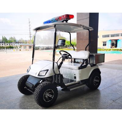 Китай 2 Passenger Motorized Golf Buggy Electric Car Cargo 2400*1200*1850mmH продается