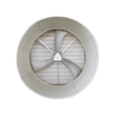 China Remove Harmful Gas Workshop Hot Sale Large Airflow Fiberglass Cone Exhaust Fan For Poultry for sale