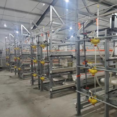 China Poultry House Broiler Chicken Cage Poultry Farm Feed Equipments Poultry House for sale