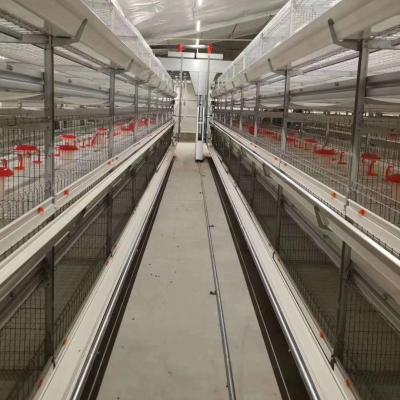 China Poultry House Poultry Farm Broiler Cage Equipments For Poultry Farms Chicken House for sale