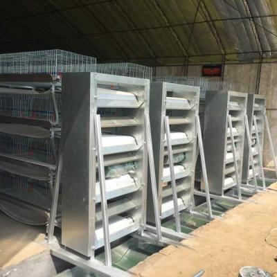 China Automatic Poultry House Poultry Broiler Layer Chicken Cage Poultry Farm Chicken House for sale