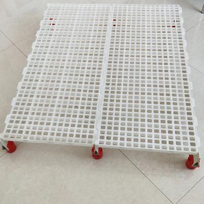 China Easily Assembled PP Raw Material Slat Flooring Poultryplastic Flooring For Pakistan For Broiler Farm Chicken Farm for sale