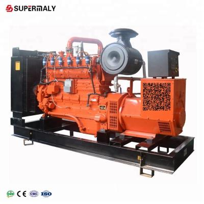 China ATS AMF Best Quality 10kw-1000kw Biogas Power Plant Generator Combo Output for sale