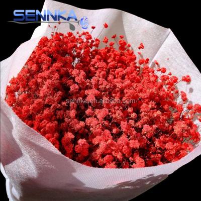 China Environmental friendly colorful babaybreath decorative flower preserved fresh flower for wedding for sale