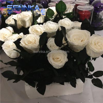 China Green Environmental Protection Preserved Flower Box With Preserved Rose Long Stems for sale