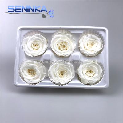 China Environmental Protection Rose Head Natural Rose Petals Green Preserved Dye Preserved Rose Flower for sale