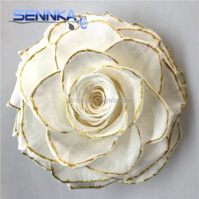 China Natural Touch Natural Top Quality For 10cm Preserved Roses Head for sale