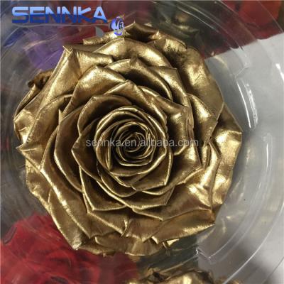 China Manufacturer Green Of Gold Rose Golden Luxury Rose Preserved Fresh Environmental Protection Professinal Rose for sale