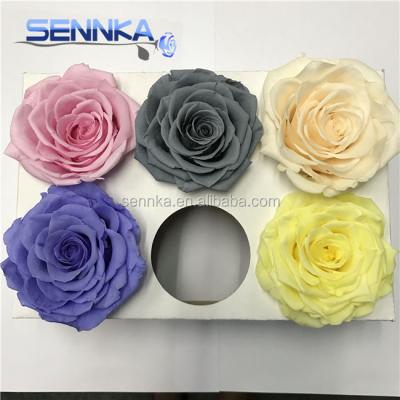 China 2020 Environmental Protection Grade A Size 7-8 Cm Green Red Rose Head Roses Preserved Real for sale