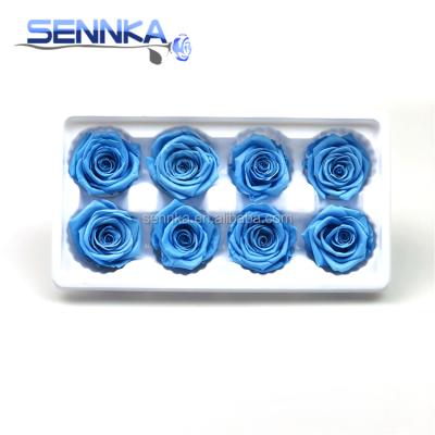 China Green Environmental Protection Decorative Rose Flower to Wedding Eternal Rose Flower Against Yunnan for sale