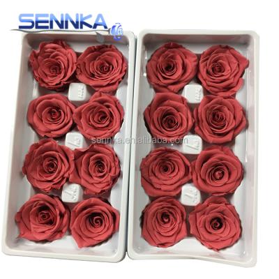 China Comestic Raw Material Natural Food Dyes Never Fade Unique Colors Rose Preserved Ecuador Rose Flower for sale