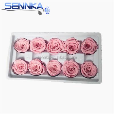 China Environmental Protection Fresh Cut Preserved Green Florist Flowers Preserved Ecuadorian Roses As Valentines Gift for sale