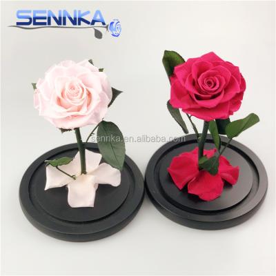 China Environmental protection green fashion preserved natural preserved Rose In Glass Dome flower for sale