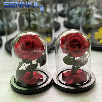 China Green environmental protection Sennka Rose preserved by 15cm in glass Valentine's Day gift for sale