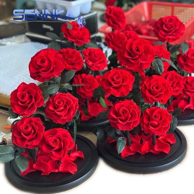 China SENNKA environment friendly customized wholesale preserved rose glass unfading rose for sale