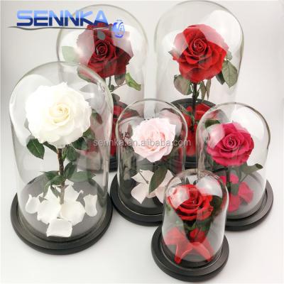 China Celebration Handmade Preserved Rose in Glass Dome 100% Natural Preserved Flower for sale