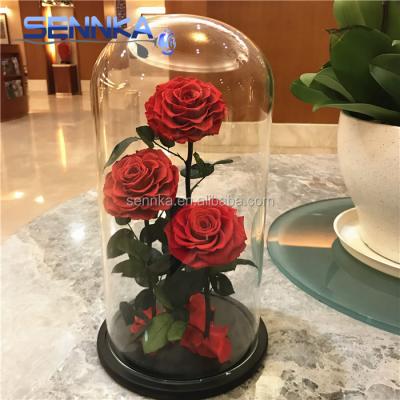 China Green Environmental Protection Beauty And Beast Design Mounted Eternal Preserved Rose In Glass Dome Eternal Flower for sale