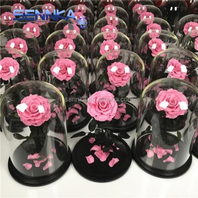 China Wholesale Environmental Friendly Roses Rose Rose Forever In Glass Preserved Natural Freeze Dried Flower For Best Gift for sale