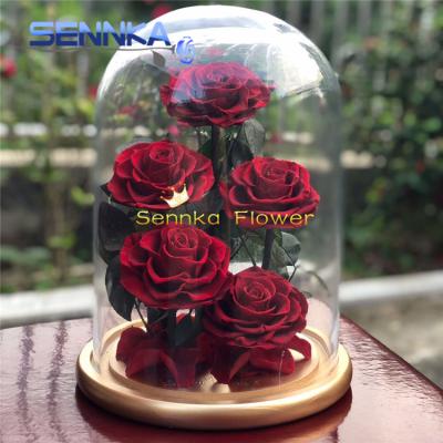 China 5 Large Flowering Stem Roses Wholesale Glass Wreath Christmas Supplies Preserved Rose Stem In Glass Dome for sale