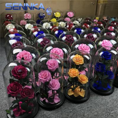 China Best Price Green Valentine's Day Environmental Protection Gift Eternal Roses Blue Color 3 Red Roses Flowers Preserved Roses In Glass Dome With Gift Box for sale