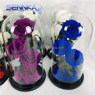 China Green Favored Price Valentine's Day Environmental Protection Gift Eternal Roses 3 Roses Flowers Preserved Roses In Glass Dome for sale