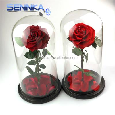 China D18 x H32cm Green Environmental Protection Rose In Preserved 9-10cm Glass Dome In Gift Box For Valentines Day for sale