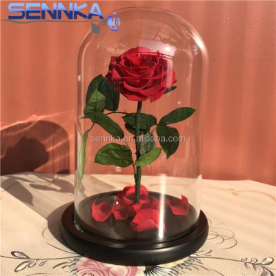 China Environmental Protection Mother's Day Gift Green Infinity Dried Rose Flower Preserved In Glass Dome for sale