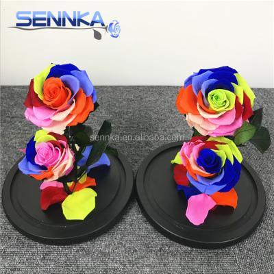 China Environmental Protection Green Beauty And The Beast Durable Preserved Rose In Glass Dome Christmas Flower for sale