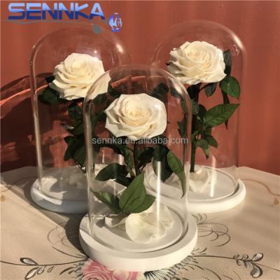 China Environmental Protection Green Wedding Decorative Eternal Preserved Roses In Glass Dome With White Base for sale