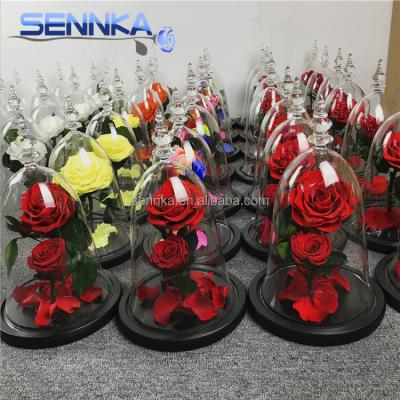 China China factory supply wholesale green environmental protection flower preserved eternal rose forever in glass dome for sale