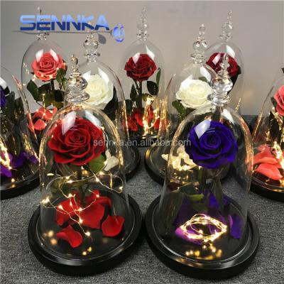 China Environmental Protection Green LED Lighting Rose Flower Glass Cover Wholesale Preserved Fresh Preserved Rose in Glass Dome for Christmas for sale