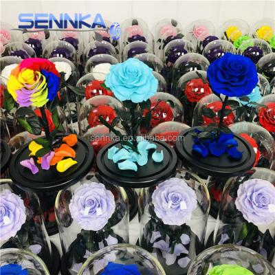 China Actual Fresh Rose 2021 New Products Preserved Flower Fresh Stabilized Rose In Glass Dome for sale