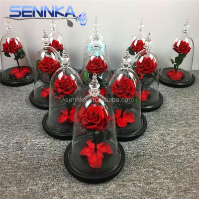 China 2020 New Products Environmental Friendly Beauty And The Beast Rose Preserved Eternal Glass Roses With Arrow Shape for sale