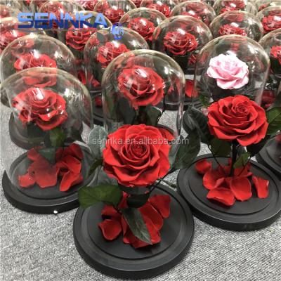 China Cheapest Preserved Rose Florist with Natural Preserved Fresh Stem Roses for sale