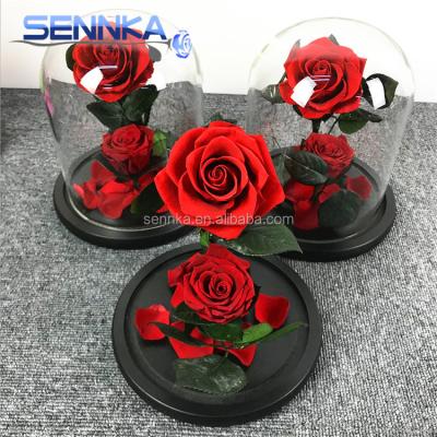 China Environmental Protection Green Preserved Dried Flower Handmade Crafts Dried Glass Flower for sale