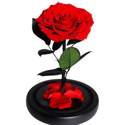 China Home Decoration High Permeability Glass Rose Flower Valentine's Day Preserved Gift for sale