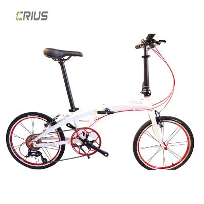 China Racing RB Folding Bike MTB Folding Bike 20inch 9 Speed ​​All Terrain Products High End Light Weight for sale