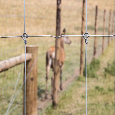 China Hot Dipped Galvanized Fence Mesh Grassland Fence For Deer Fence for sale